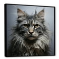 thumbnail image 2 of Designart "Majestic Maine Coon Feline II" Animals Cat Floater Framed Canvas Prints, 2 of 5