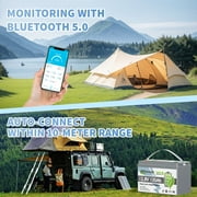 2PACK 12V 135Ah LiFePO4 Lithium Battery Bluetooth,TCBWORTH for RV,Solar,Marine,Caravans,Trolling Motor,Camping,15000+Deep Cycles,Smart 100A BMS,Group 31 Battery,1728WH