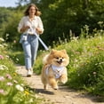 thumbnail image 4 of Adjustable Chest Back Harness for Small and Cats Breathable Mesh Cute Bear Design Escape Proof Buckle, 4 of 4