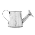 thumbnail image 6 of Juvale Mini Watering Can - 3 x 1.6 in, Silver, 12-Pack - Plant Waterer & Indoor Water Pot for Plants - Garden Watering Can & Home Decor Accessories, 6 of 10