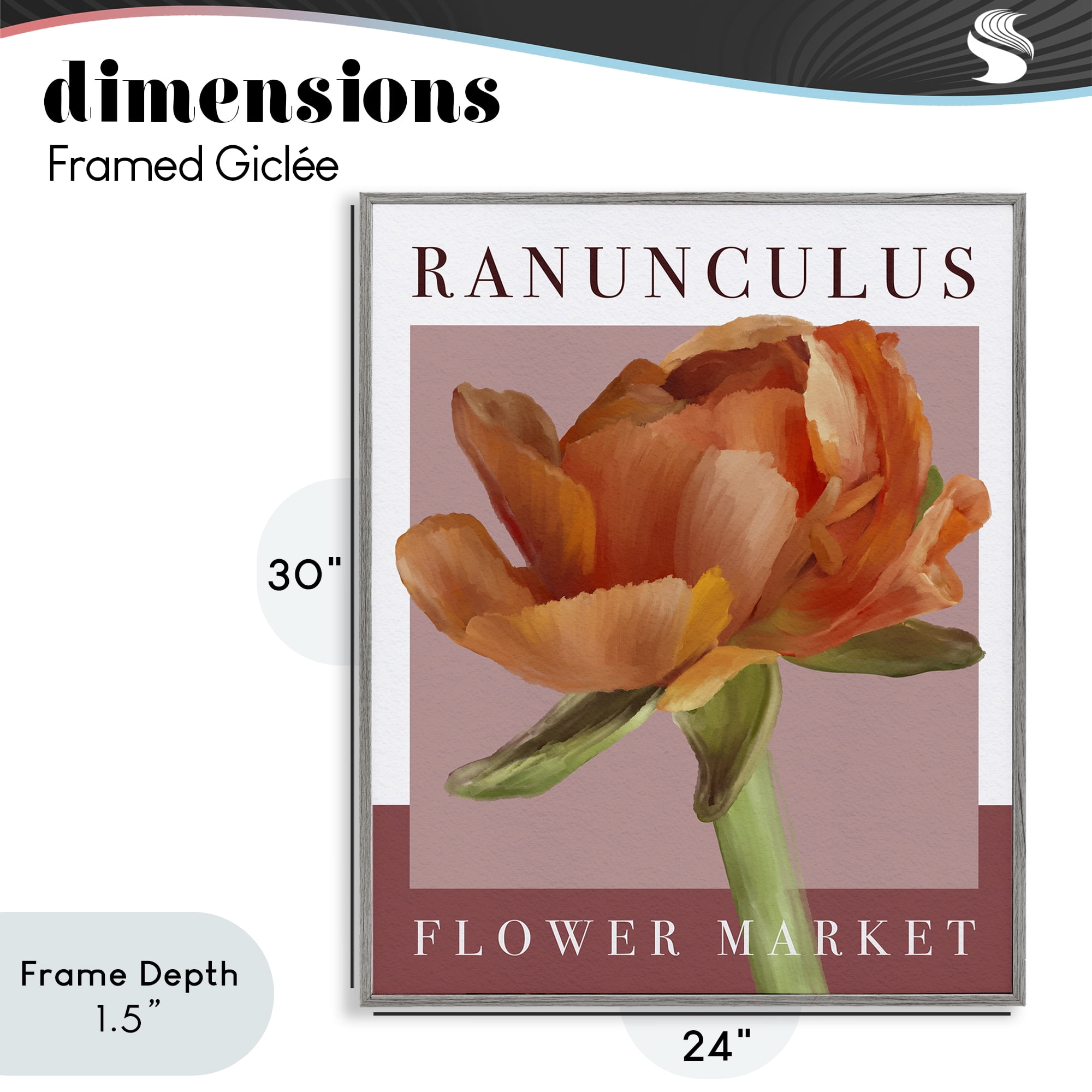 Stupell Industries Ranunculus Flower Market Gray Framed Giclee Art, design by Jennifer Stith