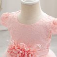 thumbnail image 4 of IDOPIP Baby Toddler Flower Girl Dress Lace Tulle Birthday Pageant Gown 1-5 Years 3D Flowers Formal Dress Toddler Wedding Guest Dress Baby Girl First Birthday Party Princess Baptism Dresses, 4 of 8