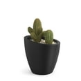 thumbnail image 3 of Mayne Modesto 20" x 20" x 20" Round Black Plastic Planter, 3 of 12