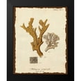 thumbnail image 2 of Esper, Johann 15x18 Black Modern Framed Museum Art Print Titled - Natura Coral I, 2 of 5