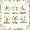 thumbnail image 3 of Incensesticks Manipura Essential Oil,  10ml, Blend of  Basil, Rosemary, Peppermint, Jojoba Oils, 3 of 9