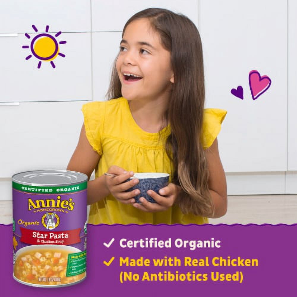 2X-Annie's Organic Star Pasta & Chicken Canned Soup - 14 oz