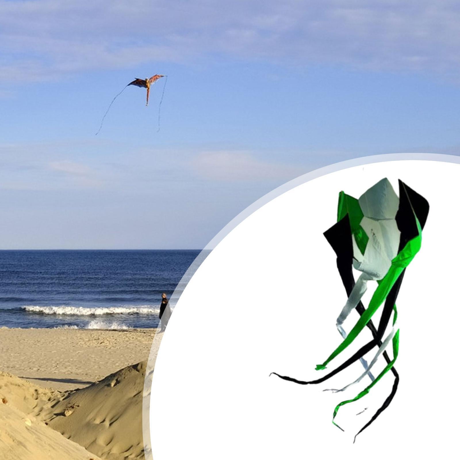 Baoblaze Long Tail Kite Decorative Popular Rotating Tube Kite for Park Grasslands Sea Black White Green