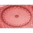 thumbnail image 1 of Ahgly Company Machine Washable Indoor Rectangle Transitional Light Coral Pink Area Rugs, 2' x 4', 1 of 7