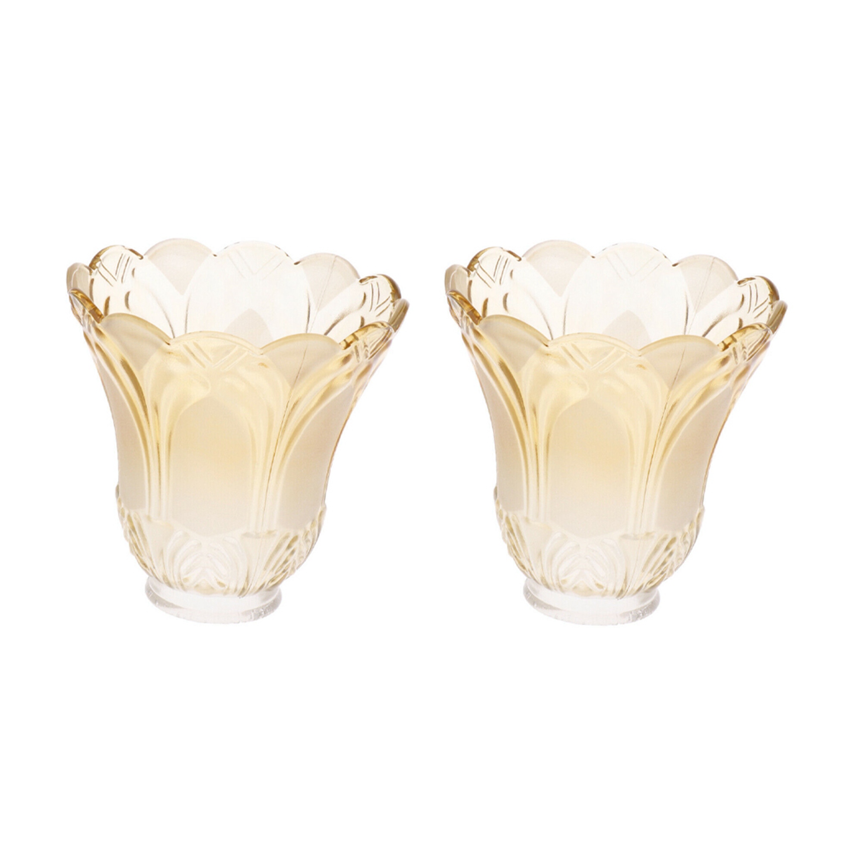 Ceiling Fan Chandelier Frosted and Clear Glass Lamp Shade Replacement