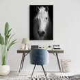 thumbnail image 2 of Cheval Monochrome - Toile 24"x36 Pouces - Impression à la Demande, 2 of 5