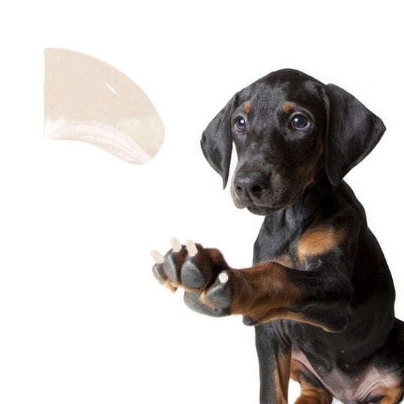 Pretty Claws Ivory Nail Caps for Dogs - XXL Size - 60 Pack ~ Stylish