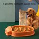 thumbnail image 5 of 1 Uds comederos para perros dispensador de comida para gatos cuenco antiglotón para perros para el hogar al aire libre comida lenta viajes evitar comer en exceso (verde) Sincero Electrónica, 5 of 5