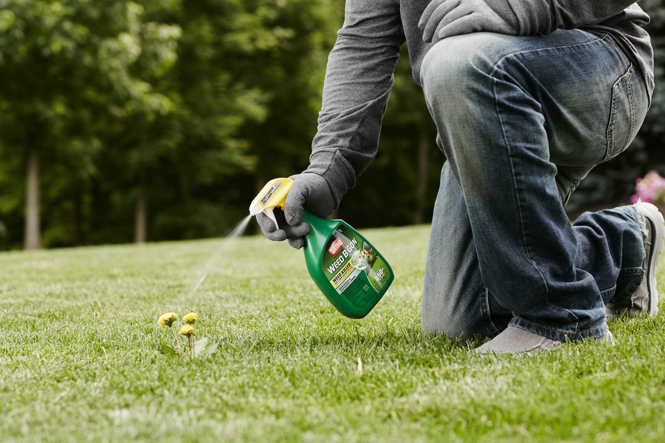 Ortho Weed B Gon Weed Killer for Lawns Ready-to-Use2 Trigger, 24 oz