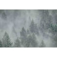 thumbnail image 3 of Marmont Hill Misty Mood Canvas Painting Print, 3 of 5
