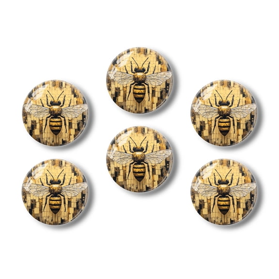 Glass Refrigerator Magnet 6Pcs Magnetic Fridge Sticker,Decor for Kitchen,Whiteboard,Cabinet,Bee With Structured Background