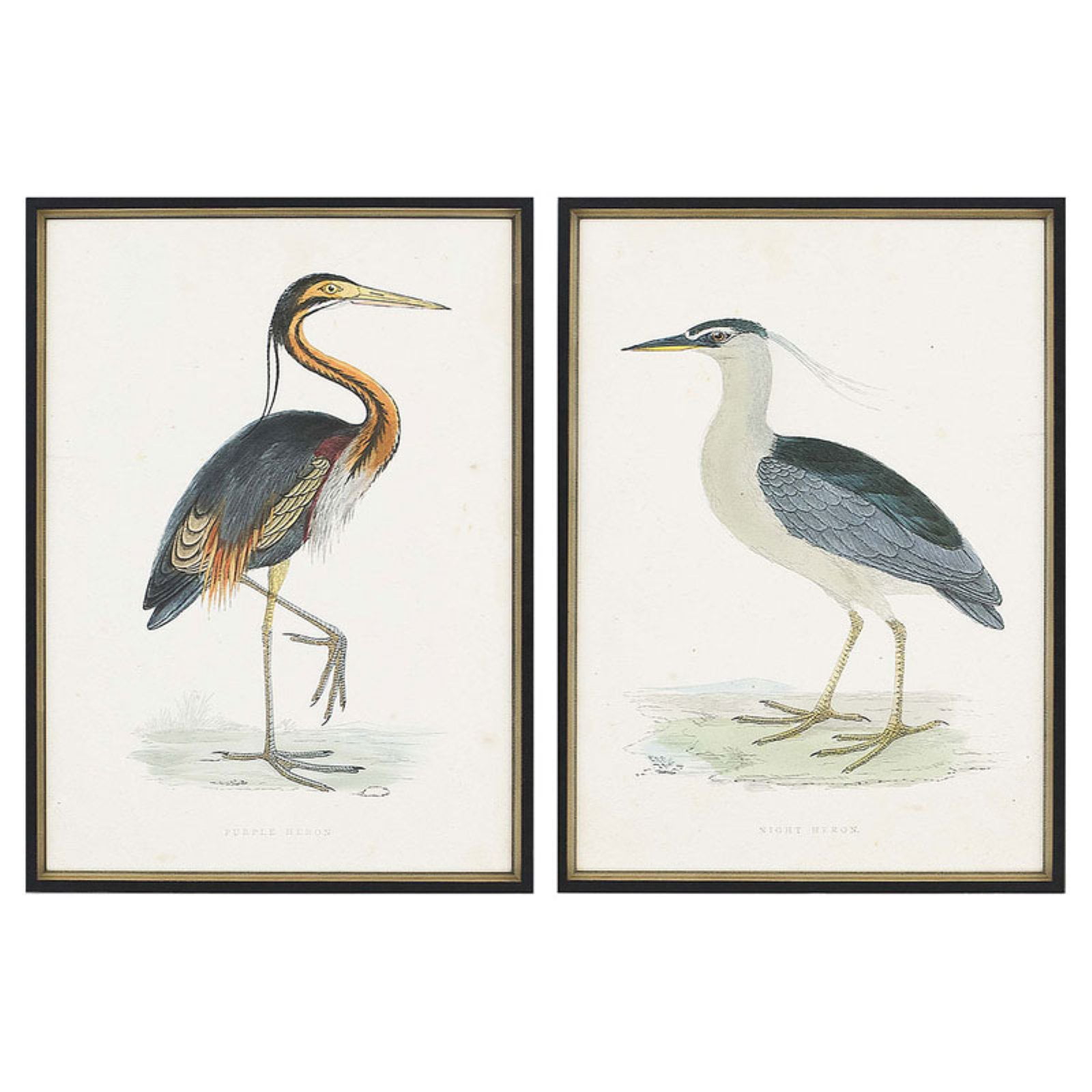 Paragon Herons Framed Wall Art Set of 2