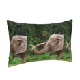 thumbnail image 2 of Bixox Asia Elephant Printed Pillow Protector,Super Soft Ideal for Home,Guests,Rentals - 20"x30", 2 of 8