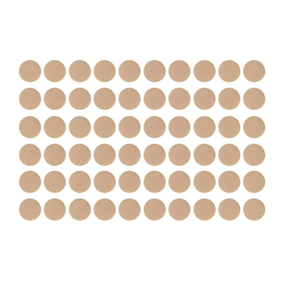 TELOLY 60Pcs Nipple Covers for Women,Disposable Nipple Covers,Nipple Covers for Women with Lift