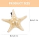 thumbnail image 3 of 4 Uds. De pinzas para el pelo naturales hechas a mano con forma de estrella de mar de cinco puntas, accesorios para el cabello para mujeres y niñas (tamaños y colores aleatorios), 3 of 5
