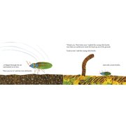 The Very Clumsy Click Beetle (Board Book)