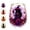 #Purple-03, variant on Fantasy Forest Witch Artisan Glassware Set,Stemless Drinking Glasses with Golden Trim, Autumn Floral Witch Design Clear Cups for Cocktails Juice Iced Coffee, Gothic Home Decor Gift(Purple)