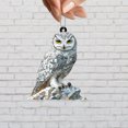 thumbnail image 2 of 2D Flat Acrylic Owl Window Hanging – Elegant Snowy Owl Sun Catcher for Car & Home – Unique Handmade Bird Decor – Mystical Woodland Ornament – Perfect Gift for Nature, Boho & Animal Lovers, 2 of 4