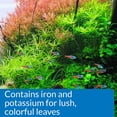 thumbnail image 6 of API Leaf Zone Promotes Aquarium Plant Growth [Aquarium Plant Food and Fertilizer, Pond Plant Food, Aquarium Supplies] 16 oz, 6 of 7