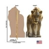 Advanced Graphics 2993 58 x 32 in. Scar Cardboard Cutout, Disney - The Lion King Live Action