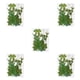 thumbnail image 3 of Yuarrent Planta en relieve de hojas secas naturales Hojas prensadas Verde seco Decoración de belleza Suministros para el hogar Regalos de Type5 NO5, 3 of 6