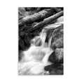 thumbnail image 2 of Gango Home Decor Trailside Waterfall III BW by Douglas Taylor (Printed on Paper); One 24x36in Fine Art Paper Giclee Print, 2 of 4