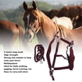 thumbnail image 3 of Ensemble de Licou Cheval, Laisse de Licou Cheval Réglable avec Laisse de 2m pour Entraînement, 3 of 7