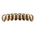 thumbnail image 2 of Set Parrillas de Diente para Hombre Parrillas para Halloween Accesorios Cosplay - oro and rosa - parrillas inferiores Rose Gold - Parrillas inferiores Fernando Parrillas Colmillos, 2 of 5