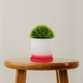thumbnail image 3 of Phenofice Red Ceramic Planter Pot for Indoor Plants, Small Flower Display Container for Home and Office Decor, 3 of 7