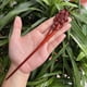thumbnail image 1 of Horquilla antigua tallada en madera de sándalo rojo lobular, placa para el cabello, artesanías de madera pulida a mano, regalos antiguos de caoba, 1 of 6