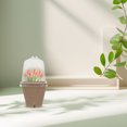 thumbnail image 1 of TABLZONE 36Pcs Propagation Containers Set Paper Pulp For Indoor Gardening Plant Growth, 1 of 6