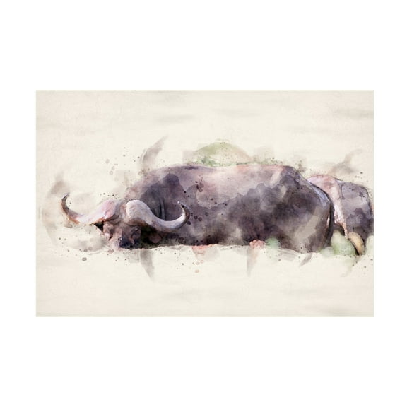 Trademark Fine Art Arno Du Toit Abstract African Buffalo Watercolor Art Canvas Wall Art