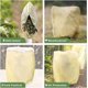 thumbnail image 4 of Cubierta protectora contra heladas para plantas Cubierta vegetal de invierno para plantas con cremallera y cordón Cubierta gruesa para plantas para palmeras Plantas de balcón Beige120*180cm, 4 of 4