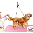 thumbnail image 2 of Pet Grooming Table Rope Pet Grooming Leash Neck And Hock Holder Dog Grooming Buckle Yellow+green Excellent, 2 of 5
