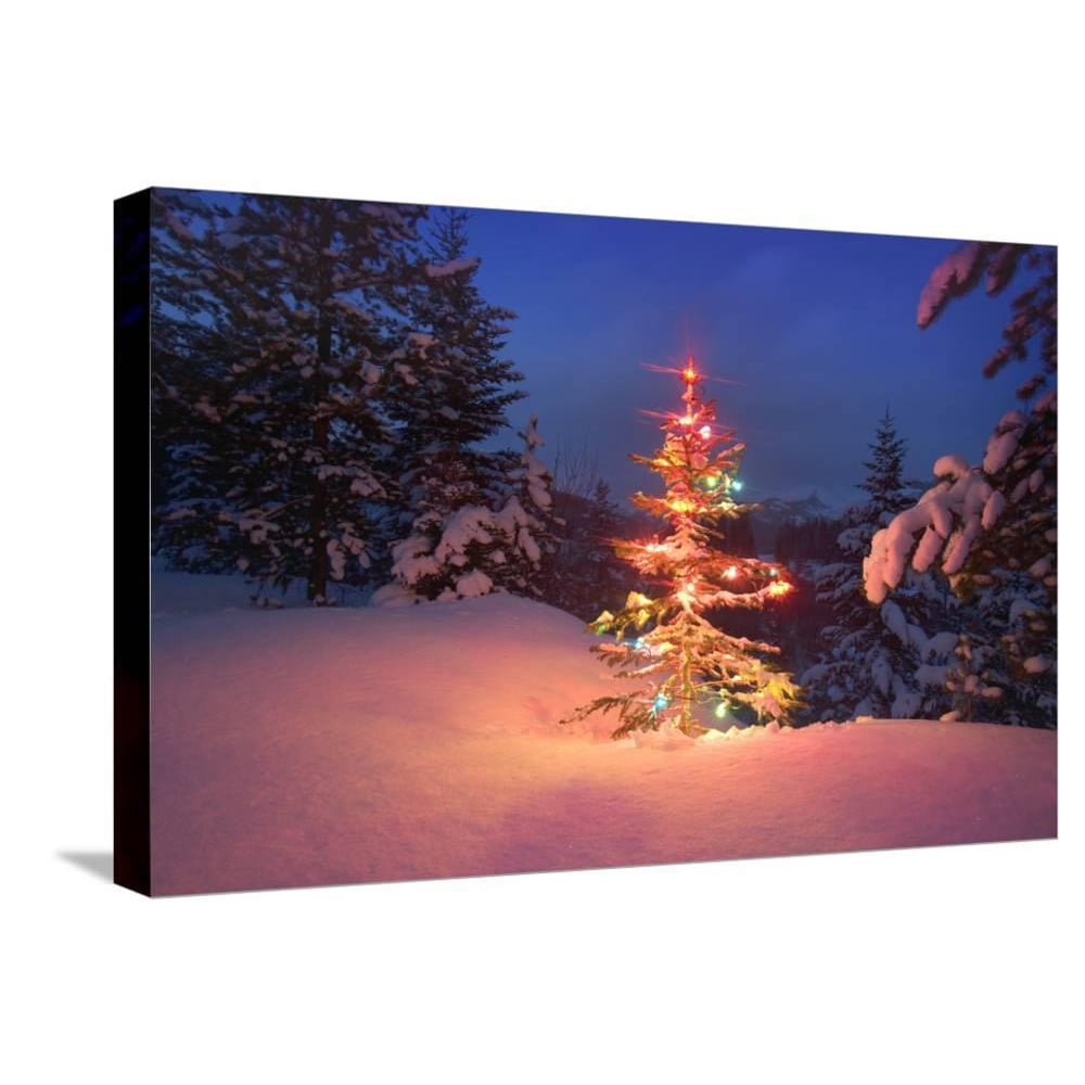 Christmas Tree in Snow with Lights, Botanical Scenic