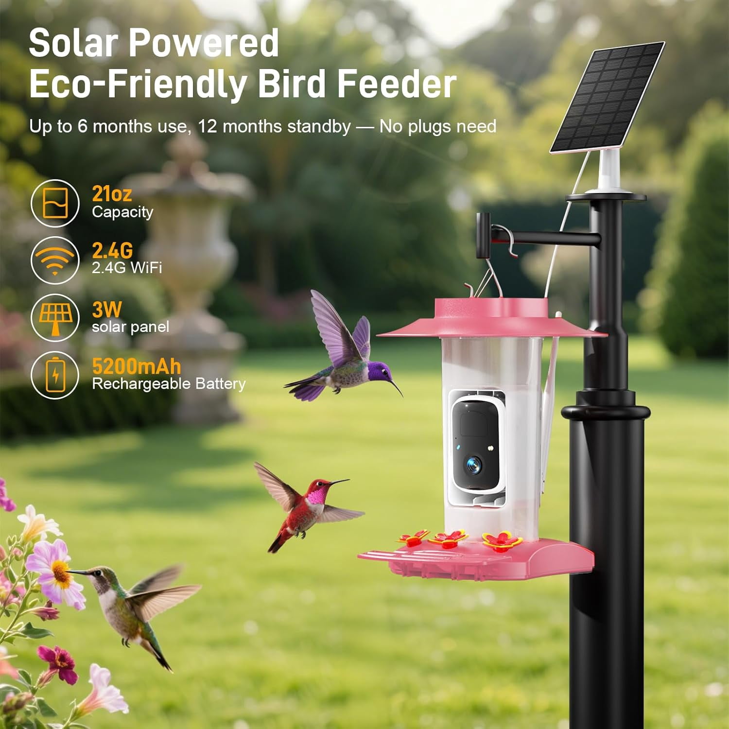 Hummingbird Feeder with Camera Outdoor, SV3C Hanging Bird Feeder with Ant Moat & Bee-Proof, HD 2K Solar Powered, AI Bird Identify, Instant App Alerts, Auto Capture, Hummingbird Lover Gifts, 21oz