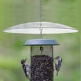 thumbnail image 4 of Bird Feeder Protector Bird Feeder Rain Baffle Hanging Flowerpot Rain Cover Feeder Dome, 4 of 9