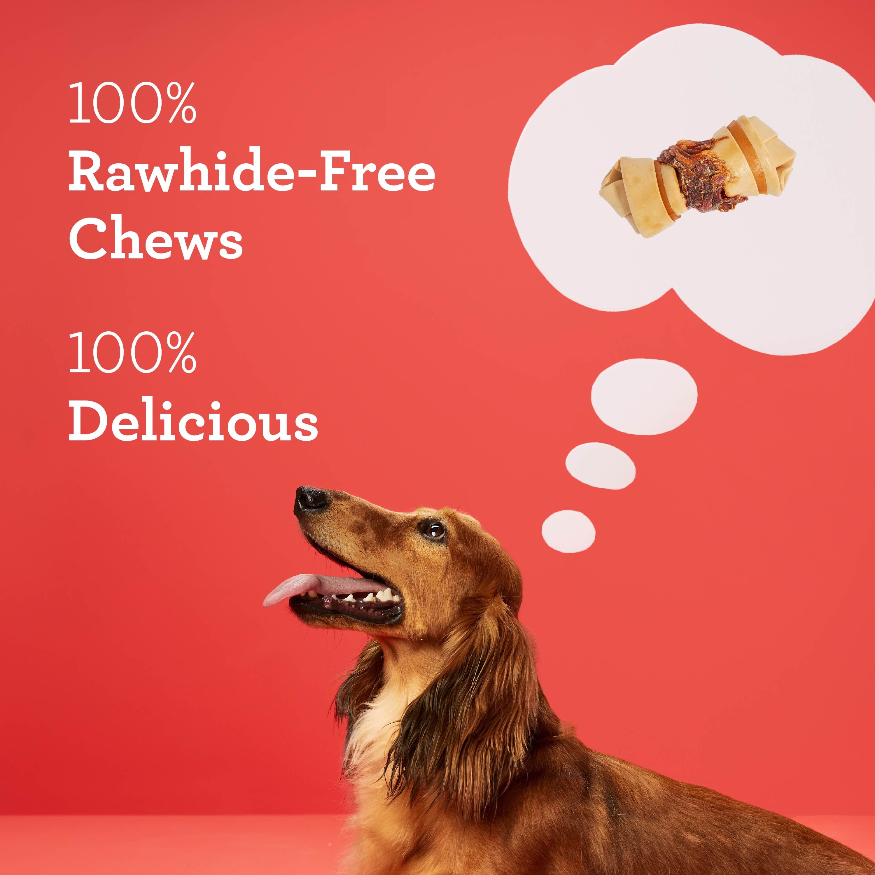 DreamBone Mini Chicken-Wrapped Dog Chews, Rawhide-Free Chews for Dogs, 16 Count