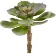 thumbnail image 2 of Nearly Natural 5in. Echeveria Succulent Artificial Plant (Set of 12), Green/Burgundy, 2 of 5