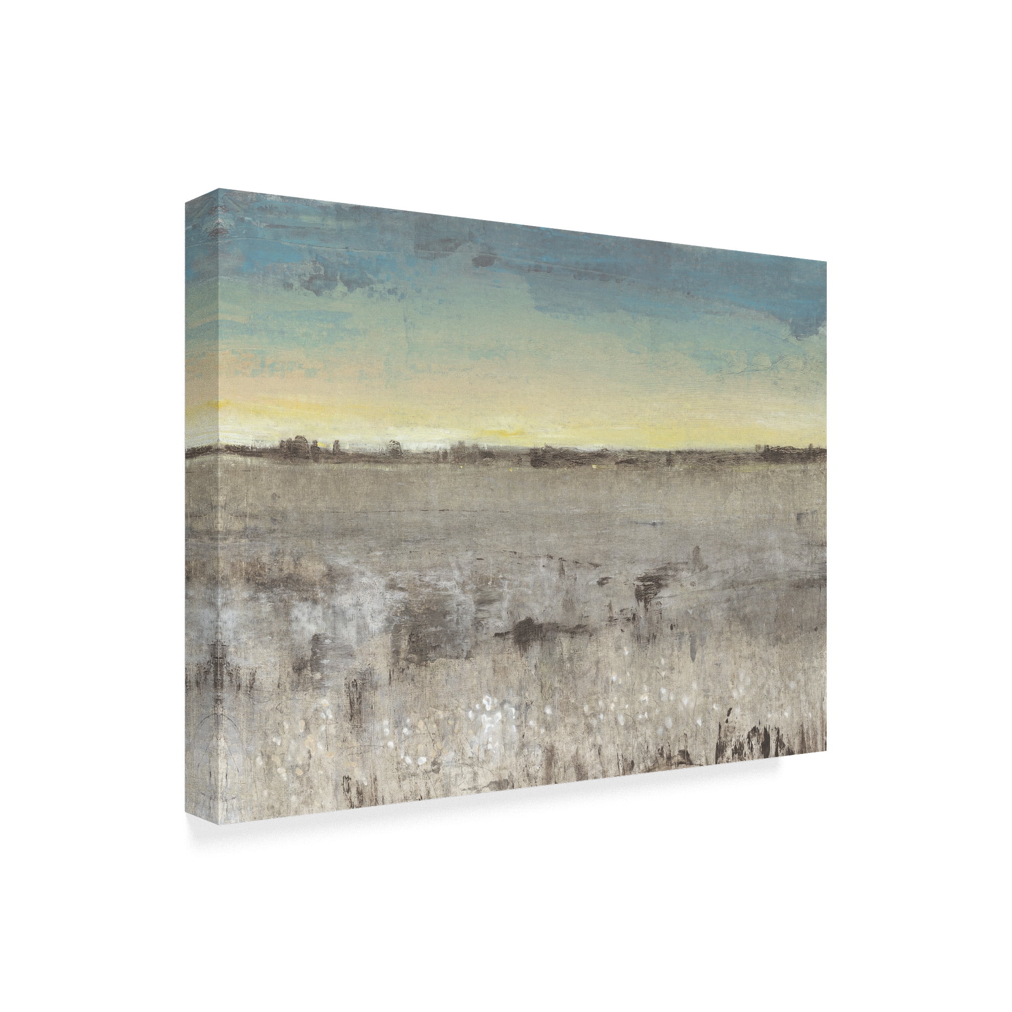 Trademark Fine Art 'Atmosphere II' Canvas Art by Tim OToole