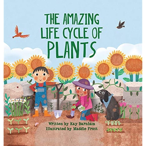 The Amazing Life Cycle of Plants (Look and Wonder)