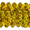 Gold, variant on Expo Int'l 10 yards of 4 Row 1 1/2" Starlight Hologram Stretch Sequin Trim