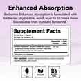 thumbnail image 6 of Theralogix Berberine Enhanced Absorption - 90-Day Supply - Made with Berberine Phytosome to Help Support Healthy Metabolism & Hormone Balance* - NSF Certified - 90 Capsules, 6 of 6