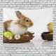 thumbnail image 1 of ABPHQTO Huevos de Pascua Tapiz de conejo Decoración de pared Sala de estar Dormitorio Tapices DIY 150x200 cm, 1 of 4