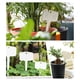 thumbnail image 1 of Etiquetas de Plástico para Plantas, Etiquetas Tipo T, Etiquetas para Jardín de Exterior, Etiquetas para Nombres de Plantas, Letreros de Jardinería para Bricolaje, Estacas de Identificación de, 1 of 7