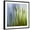Black Frame, variant on Art.com Moss Photographic Print by Ursula Abresch, 24" x 24"